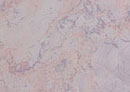 Duropal